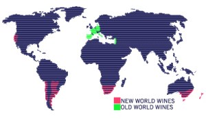 New vs Old World Wines